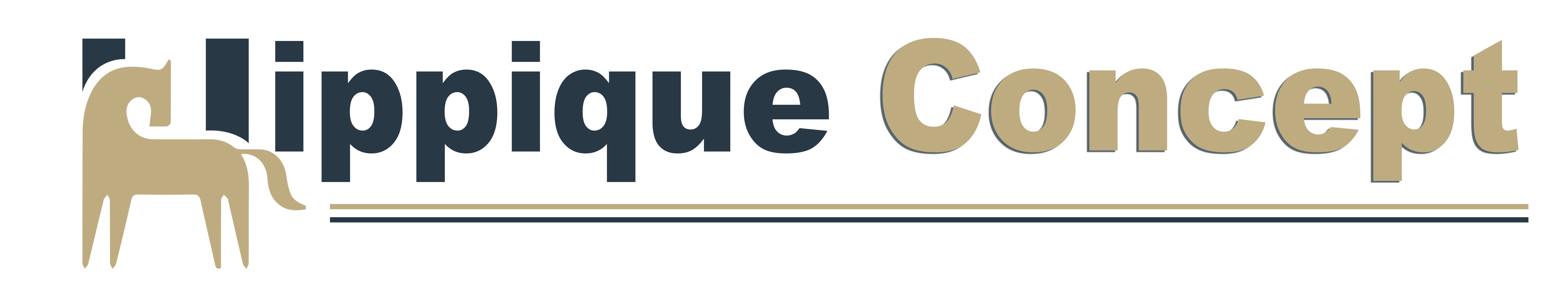 logo Hippique Concept
